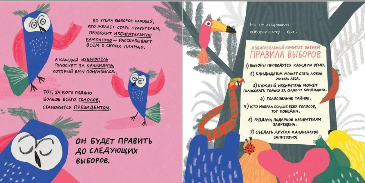 Разворот с правилами выборов и совами