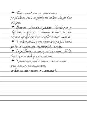 Страница прописи с курсивными фактами о памяти, радуге, снеге и Шекспире.