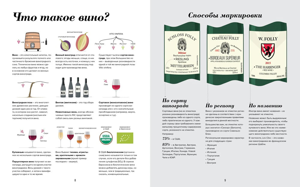 Разворот «Что такое вино?» о сортах, винограде и винных этикетках.