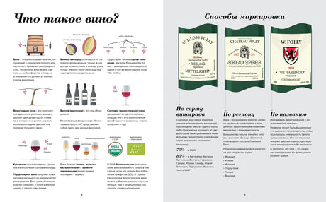 Разворот «Что такое вино?» о сортах, винограде и винных этикетках.