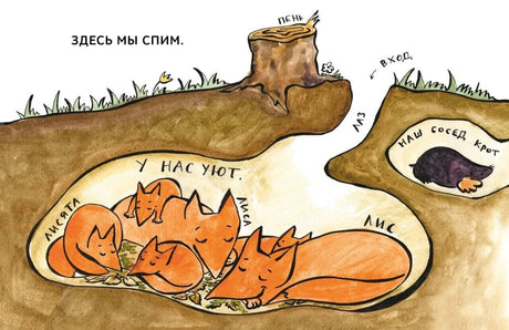 Иллюстрация лисьей норы со спящими лисами и кротом