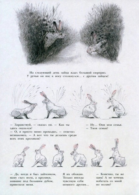 Страница с зайцами и кроликами, знакомящимися друг с другом.