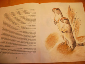 Заяц в море. Рассказы о северной Камчатке 978-5-907501-41-6, 978-5-907684-89-8, 978-5-91786-032-9 - 19