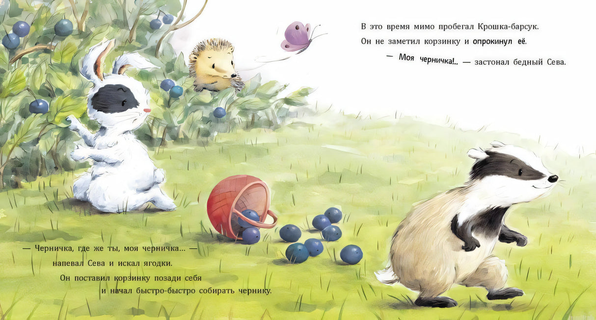 Иллюстрация из книги Зайчик Сева обиделся