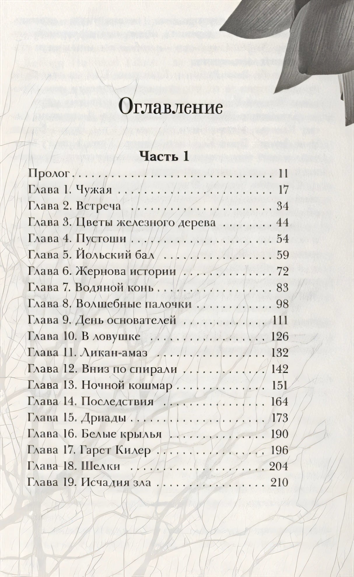 Железный цветок 978-5-4366-0585-2 - 0