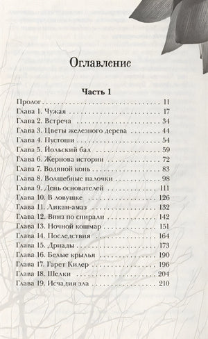 Железный цветок 978-5-4366-0585-2 - 0