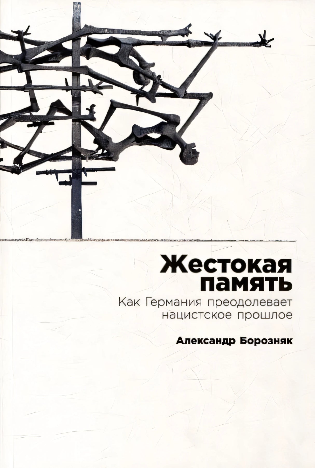 Обложка Жестокая память: Как Германия преодолевает нацистcкое прошлое 978-5-9614-8774-9