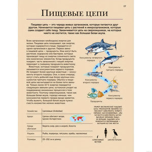 Энциклопедия животных: пищевая цепь в природе