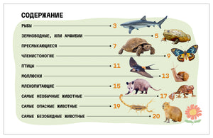 Содержание книги с разделами о группах животных и номерами страниц.