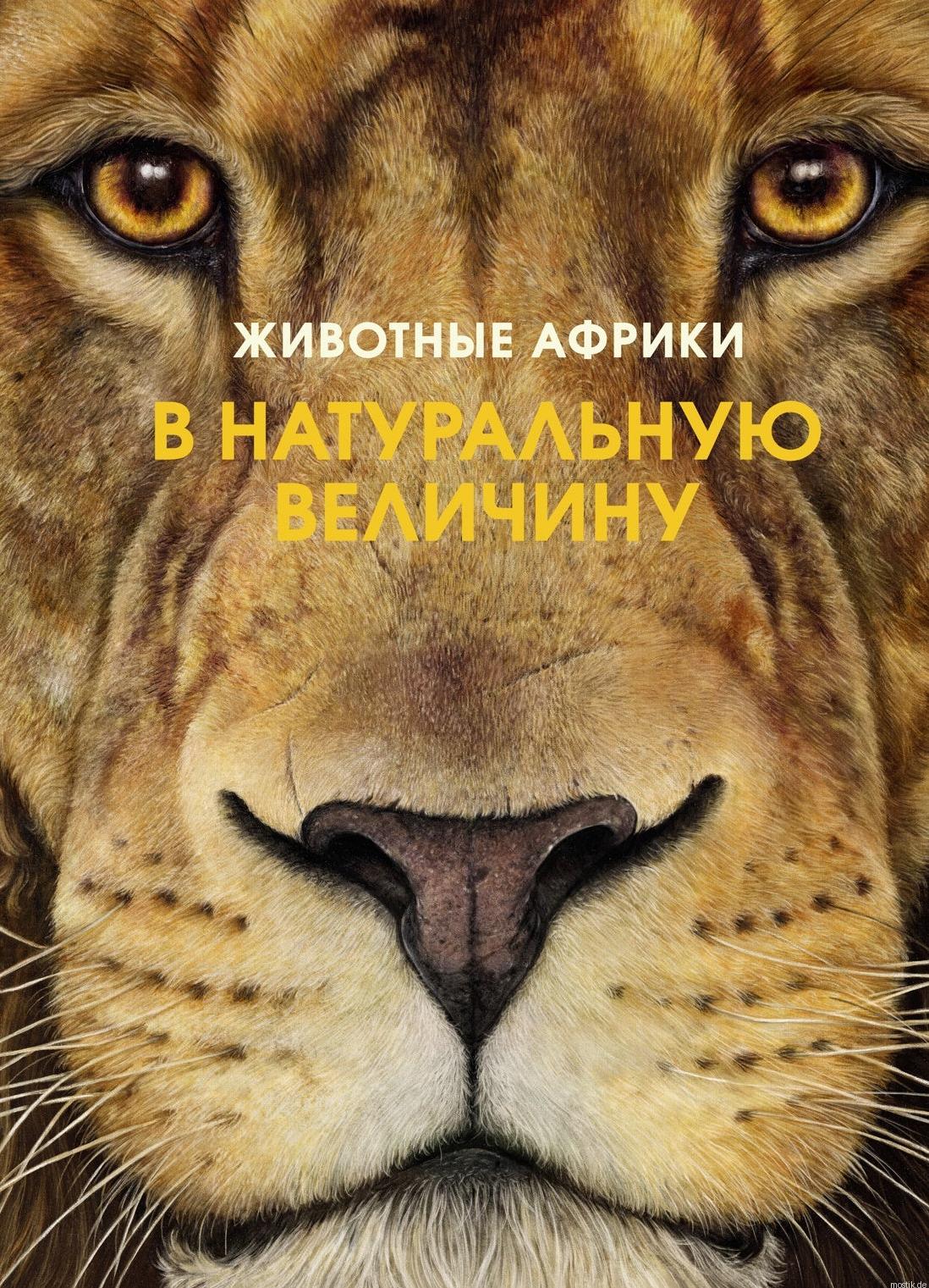 Обложка книги "Животные Африки в натуральную величину"