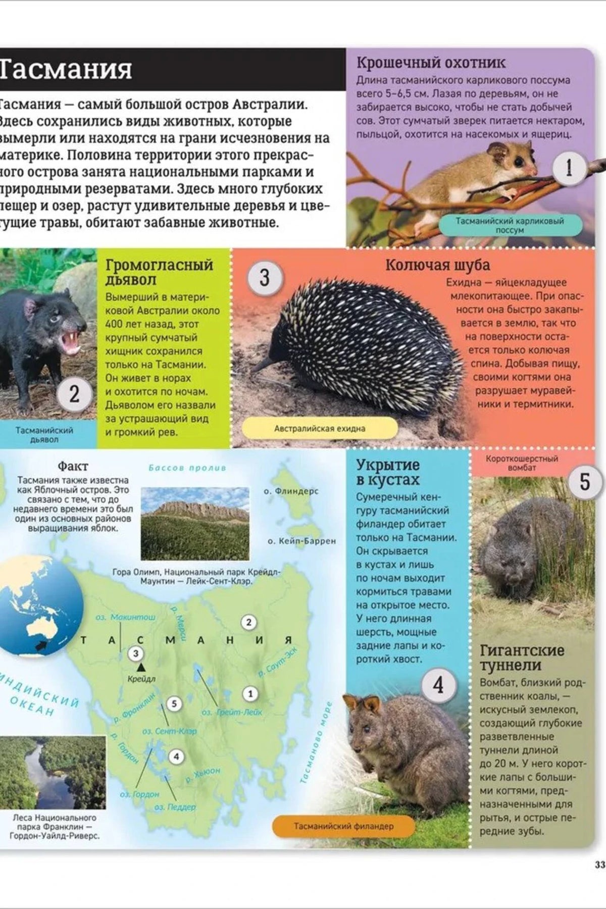 Страница «Тасмания» с картой острова, тасманийским дьяволом и ехидной