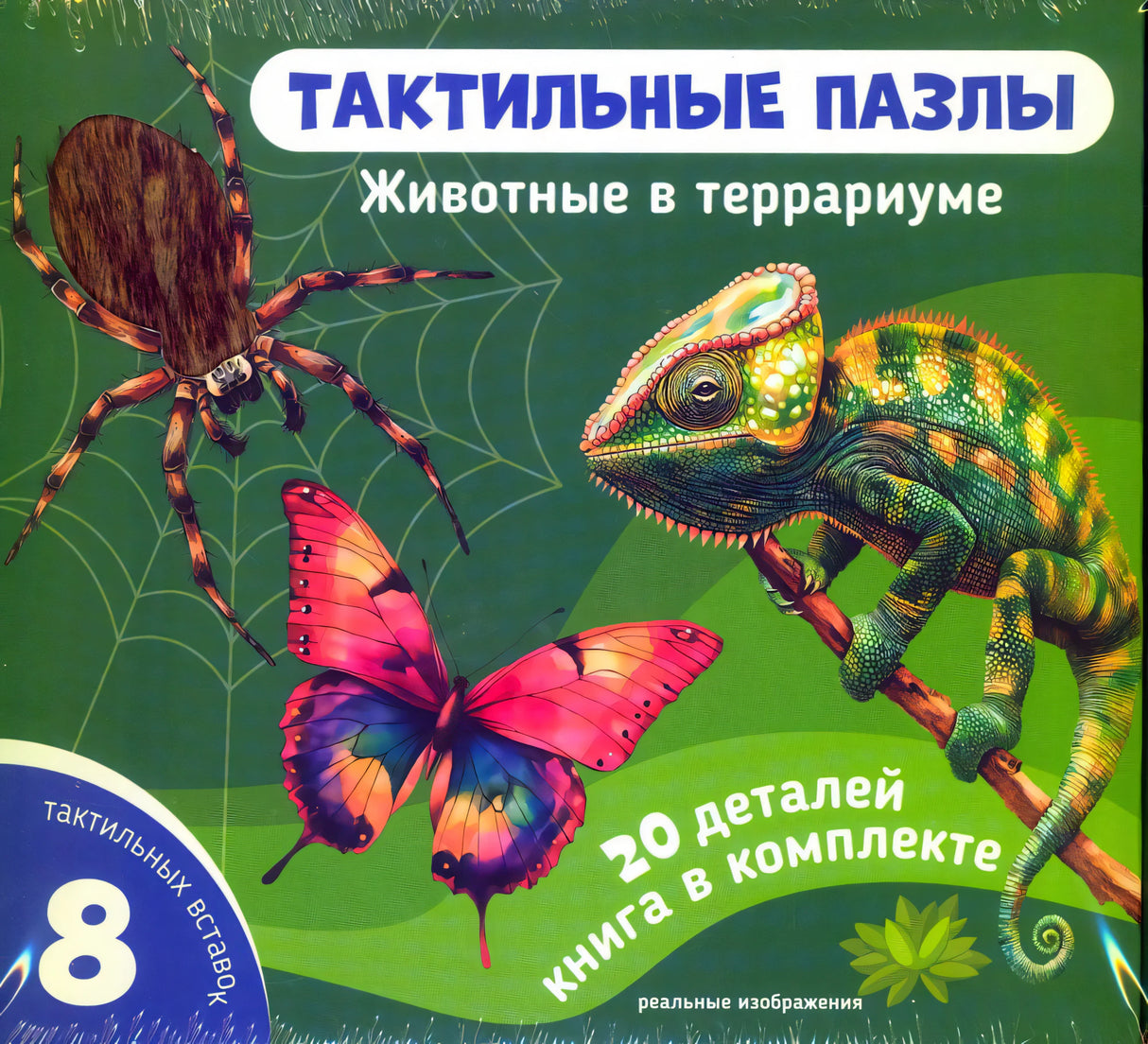 Лицевая сторона комплекта «Тактильные пазлы. Животные в террариуме»