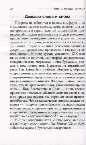 Страница 24 с разделом «Дежавю снова и снова»