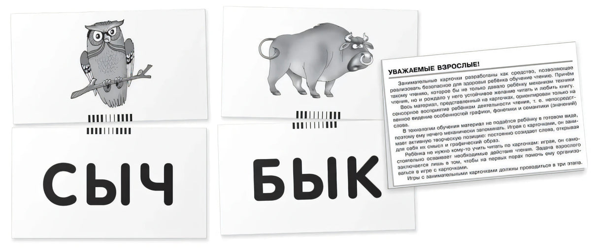 Жук. Читаем слова-слоги. Набор карточек null - 3