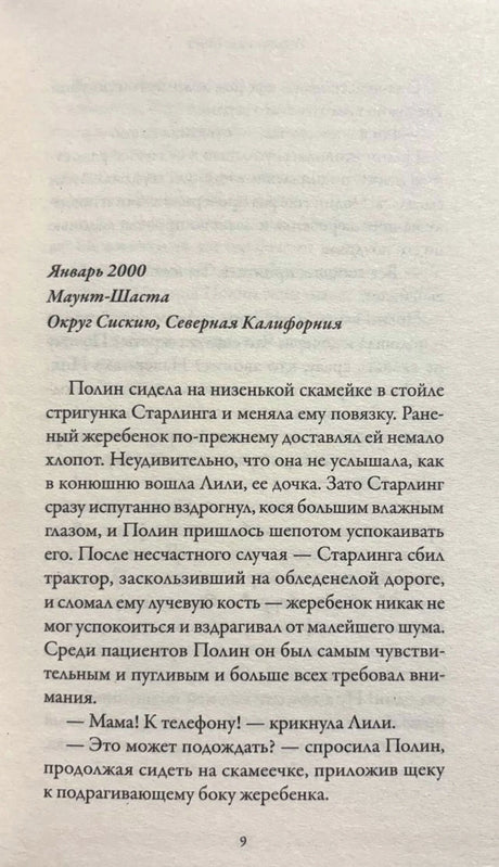 Страница 9 романа: начало главы «Январь 2000», Маунт-Шаста, Северная Калифорния.
