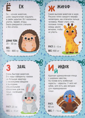 Зооазбука 978-5-6053719-4-6 - 7