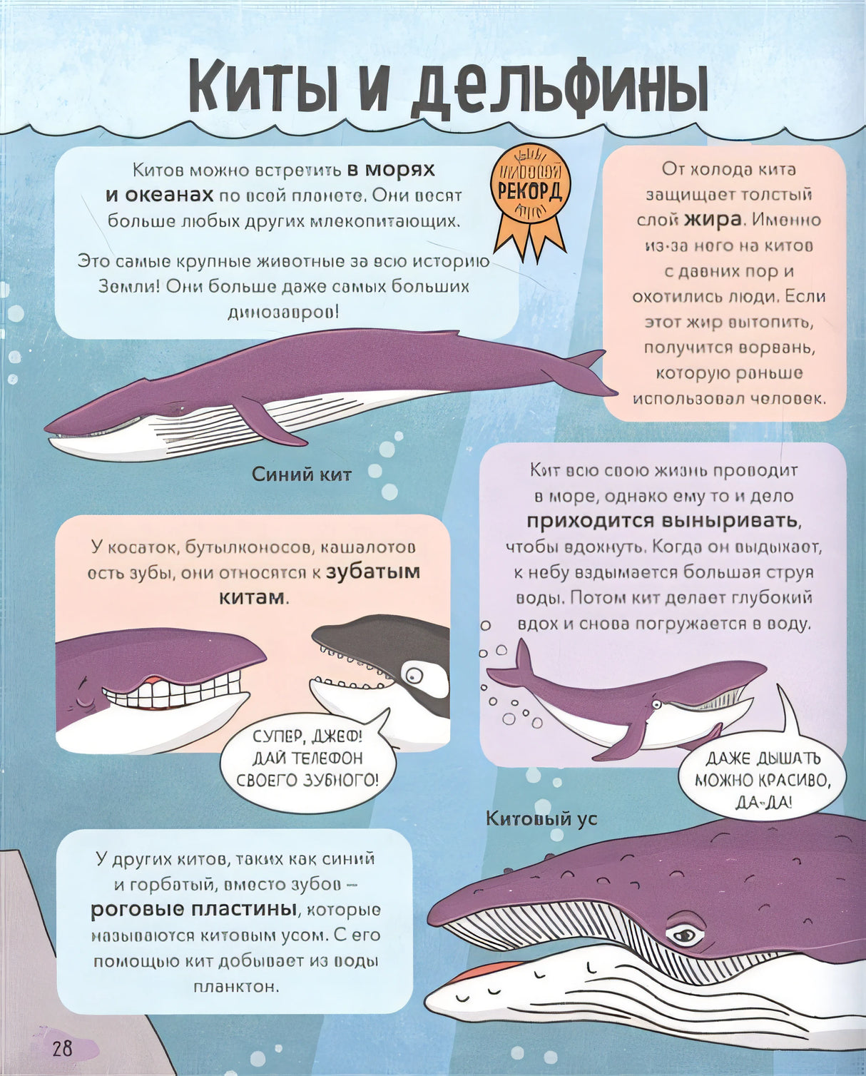 Звери. От броненосца до зебры: самые невероятные факты, рекорды и достижения 978-5-00195-138-4 - 12