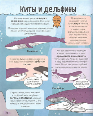 Звери. От броненосца до зебры: самые невероятные факты, рекорды и достижения 978-5-00195-138-4 - 12